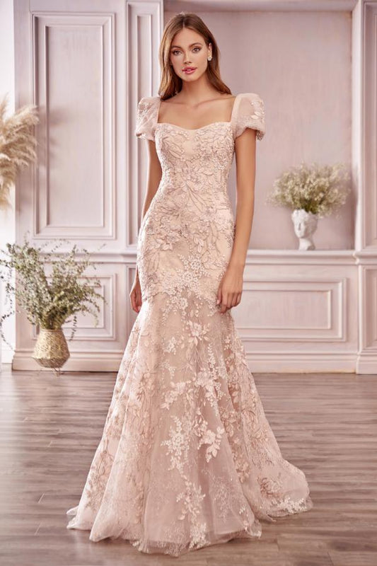 Elegantes langes Meerjungfrau-Ballkleid mit Herzausschnitt und rückenfreiem Spitzen-Abschlussballkleid mit Ärmeln
