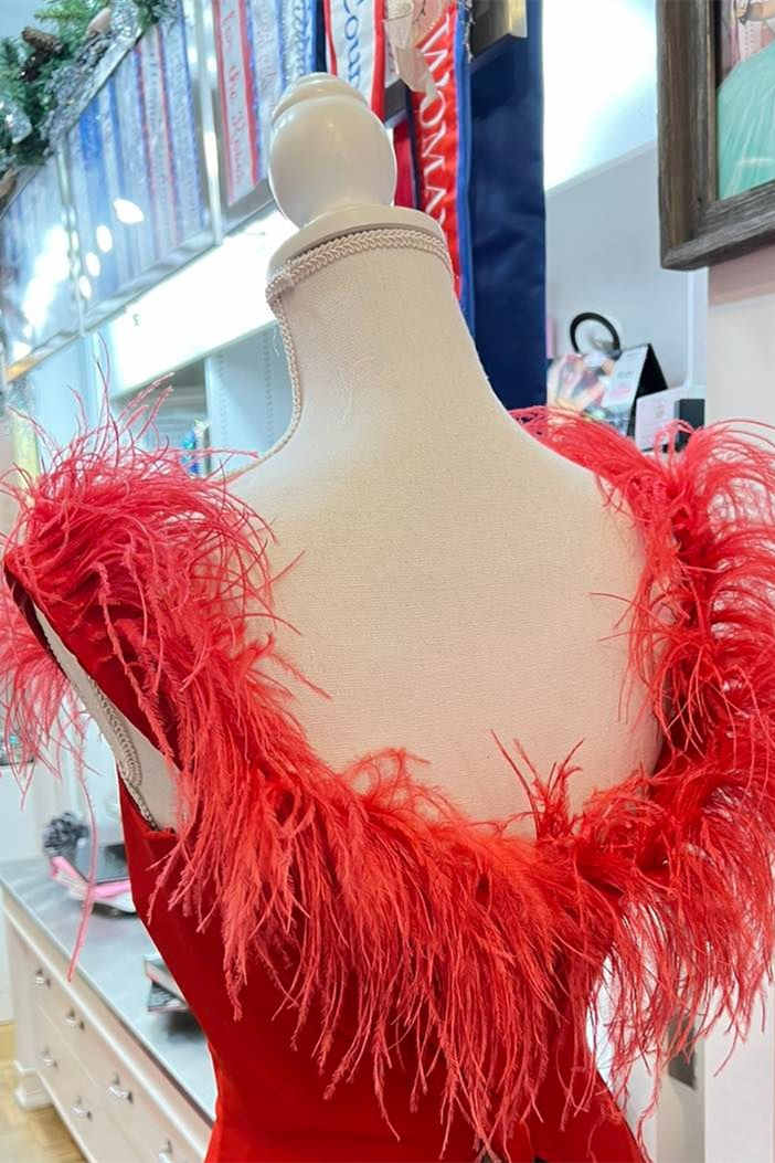 Vestido formal largo con escote pronunciado y plumas rojas con abertura