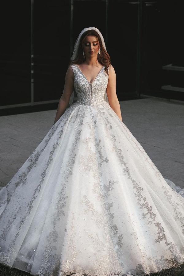 Wunderschönes langes Prinzessinnen-Brautkleid mit V-Ausschnitt, Tüll und Spitzenapplikationen