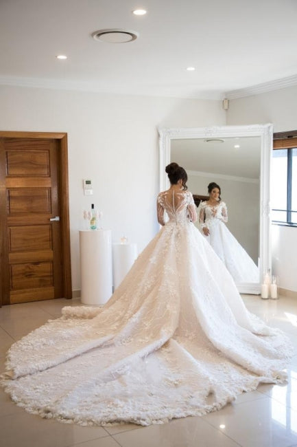 Wunderschönes Brautkleid mit langen Ärmeln und weicher Blumenspitze und V-Ausschnitt