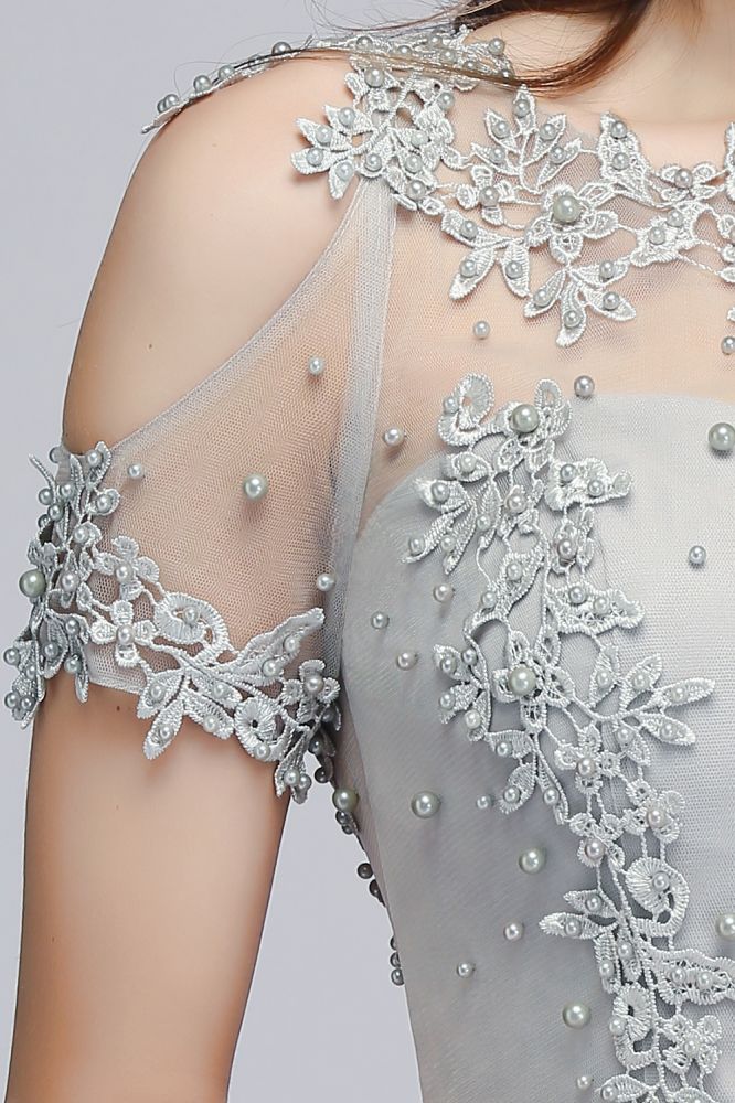 Illusion Neckline Long Appliques Chiffon Prom Dresses