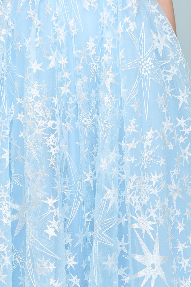 Vestidos de fiesta largos de tul con apliques y mangas casquillo en forma de A