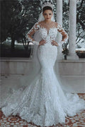 Gorgeous Mermaid Wedding Dress With Long Sleeves And Lace Appliques