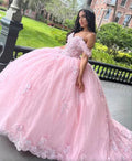 Abito da ballo rosa in tulle con applicazioni per sedicesimo compleanno, abito da sera, abito per quindicenne Y7475