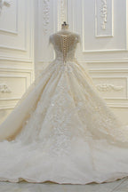 Elegant Ball Gown Wedding Dress With Long Sleeves Bateau Neckline Appliques