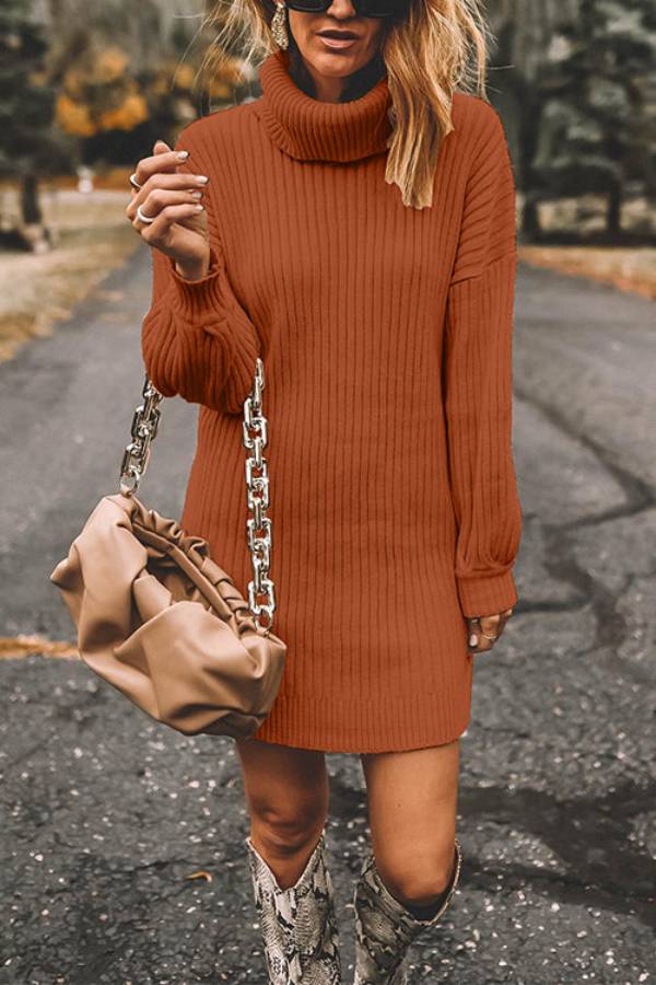 Turtleneck Long Sleeves Ribbed Knit Sweater Dress