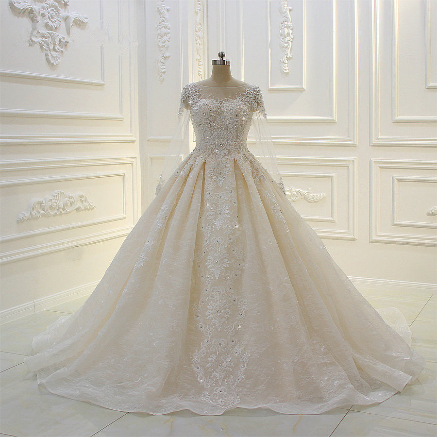 Elegant Ball Gown Wedding Dress With Long Sleeves Bateau Neckline Appliques