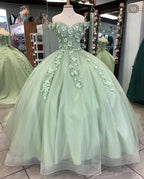 Abito da ballo verde salvia con spalle scoperte e fiori Abito per sedicesimo compleanno Quinceañera Y4342