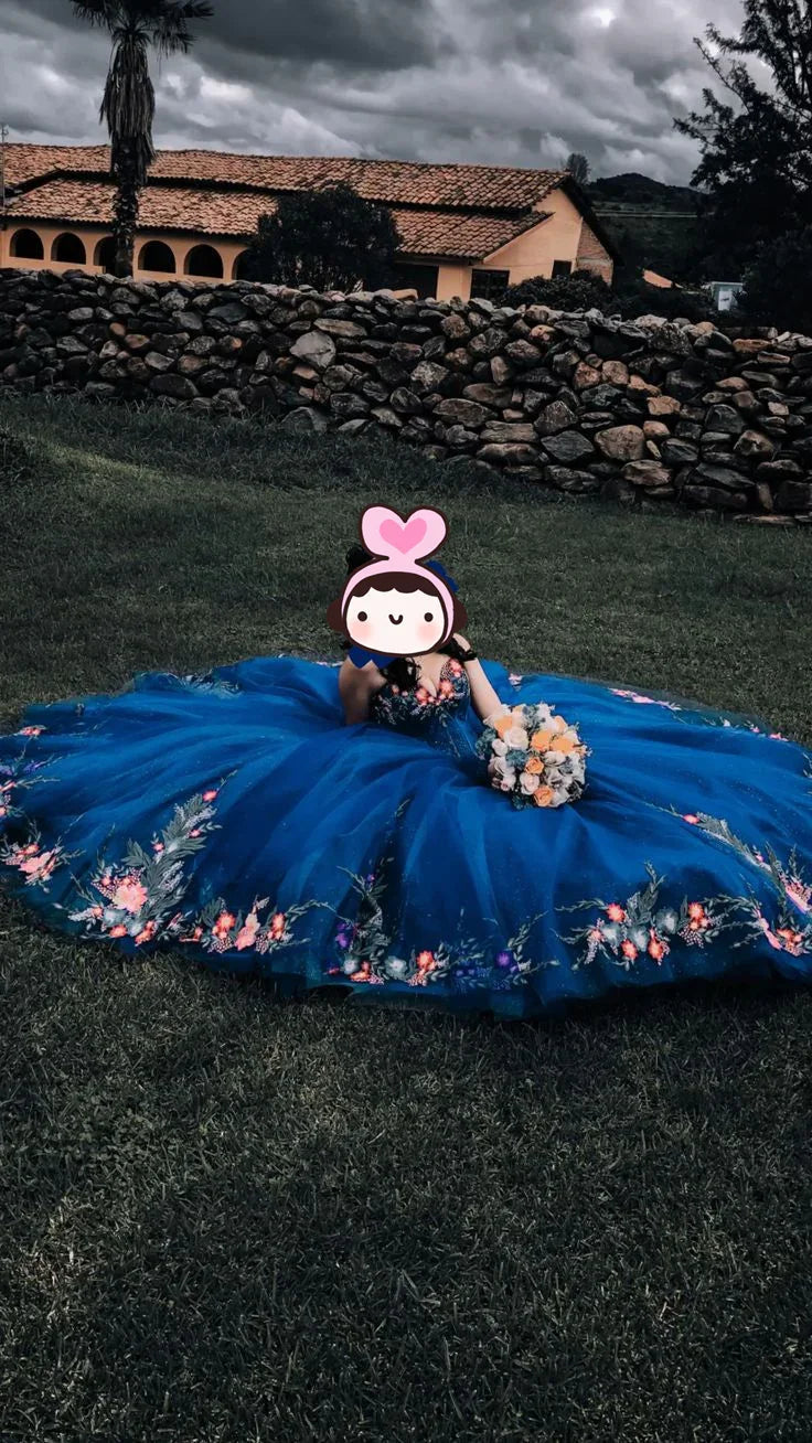 Vestidos de quinceañera azul marino de lujo, vestido para dulce 16, elegante vestido de baile Y4922