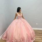 Robes roses de Quinceañera avec appliques en dentelle Robe de bal mexicaine pour 15e anniversaire Y4675