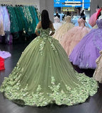 Abiti da ballo verde lussuosi Principessa Quinceañera con spalle scoperte e applicazioni floreali 3D Y4147