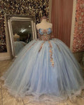 Ballkleid Quinceañera Kleid Herzausschnitt Applikationen Blumen Prinzessin Süße 16 Kleid Y2613
