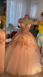 Abito a sfera con applicazioni di fiori rosa cipria, abiti da sera in tulle a linea ad A, abiti per quinceañera Y388