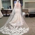 Cathedral Length Applique Tulle Bridal Wedding Veil With Lace Edge