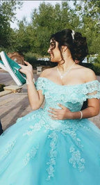 Off The Shoulder Lace Tulle Ball Gown Princess Dress Y3087