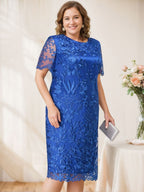 Plus Size Tea Length Mother Of The Bride Dress Scoop Neck Appliques