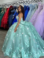 Robe de bal Quinceanera sauge Robe de Sweet 16 Y7036