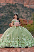 Robes de quinceañera vert sauge clair Robe de bal florale pour concours Sweet 16 Y2063