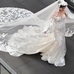 Custom Long Cathedral Wedding Veil With Lace Appliques And Comb