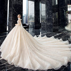 Elegant Crystal Lace V Neck Ball Gown Wedding Dress With Chapel Train