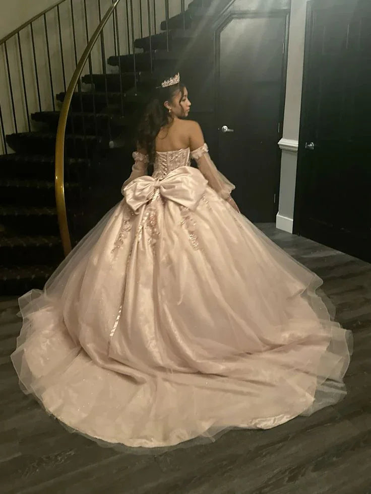 Prächtiges Applikations-Tüll-Quinceañera-Kleid Ballkleid, Süßes 16 Kleid Y7323