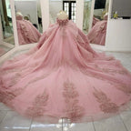 Pink Quinceanera Ball Gown Off Shoulder Beaded Appliques Sweet 16 Mexican Dress