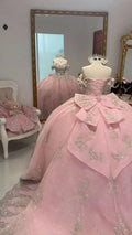 Abito da ballo principesco a linea A rosa lucido per Quinceañera, abito dolce sedici Y7770