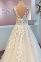 A Line Lace Wedding Dress Sleeveless Long Gown V Neck Chapel Train