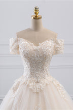 Off The Shoulder Tulle Princess Long Wedding Dress With Appliques Lace
