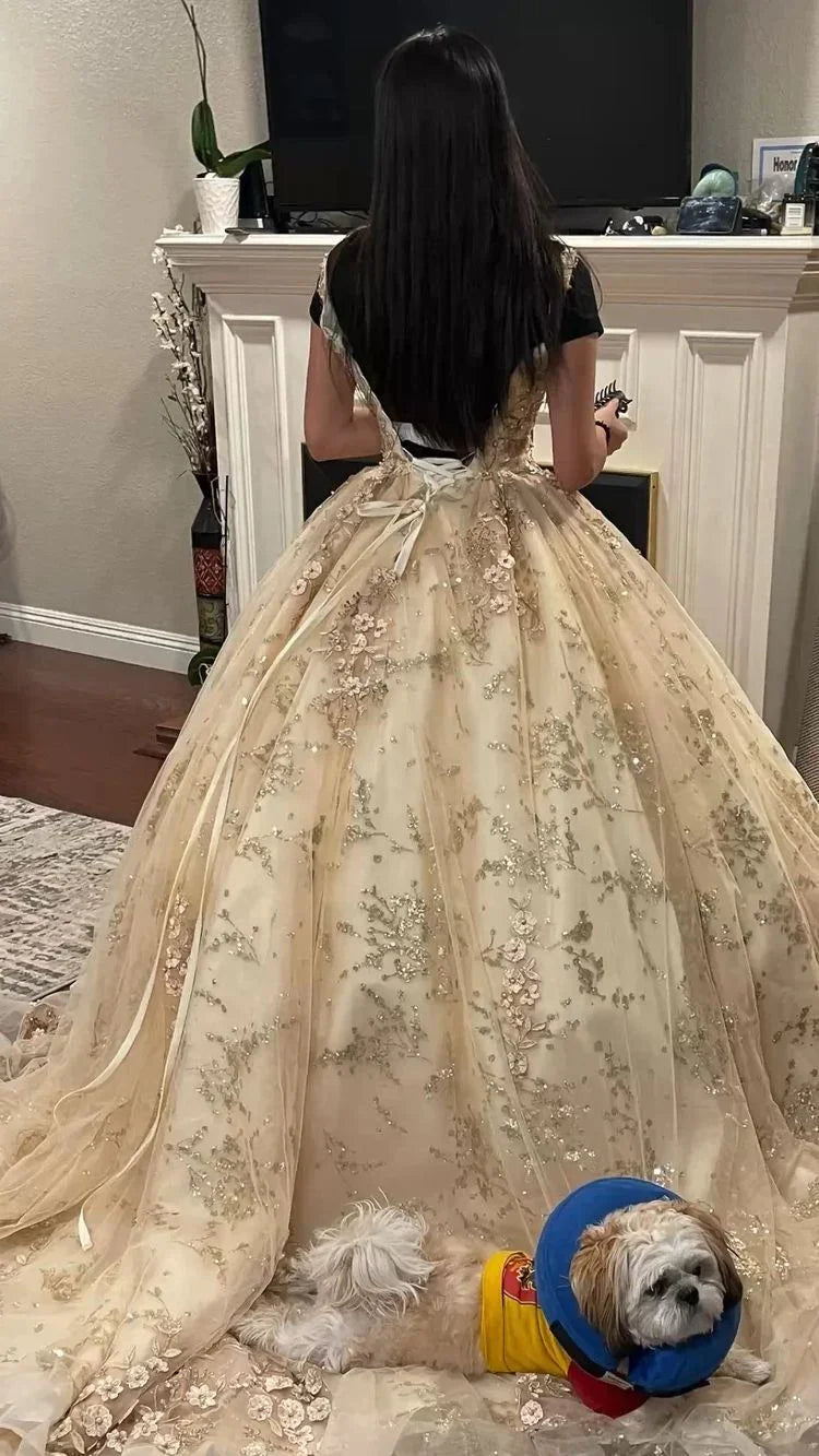 Abito principesco lussuoso color champagne con scollo a V per Quinceañera, abito da ballo color champagne Y593