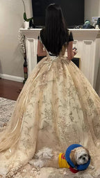 Abito principesco lussuoso color champagne con scollo a V per Quinceañera, abito da ballo color champagne Y593