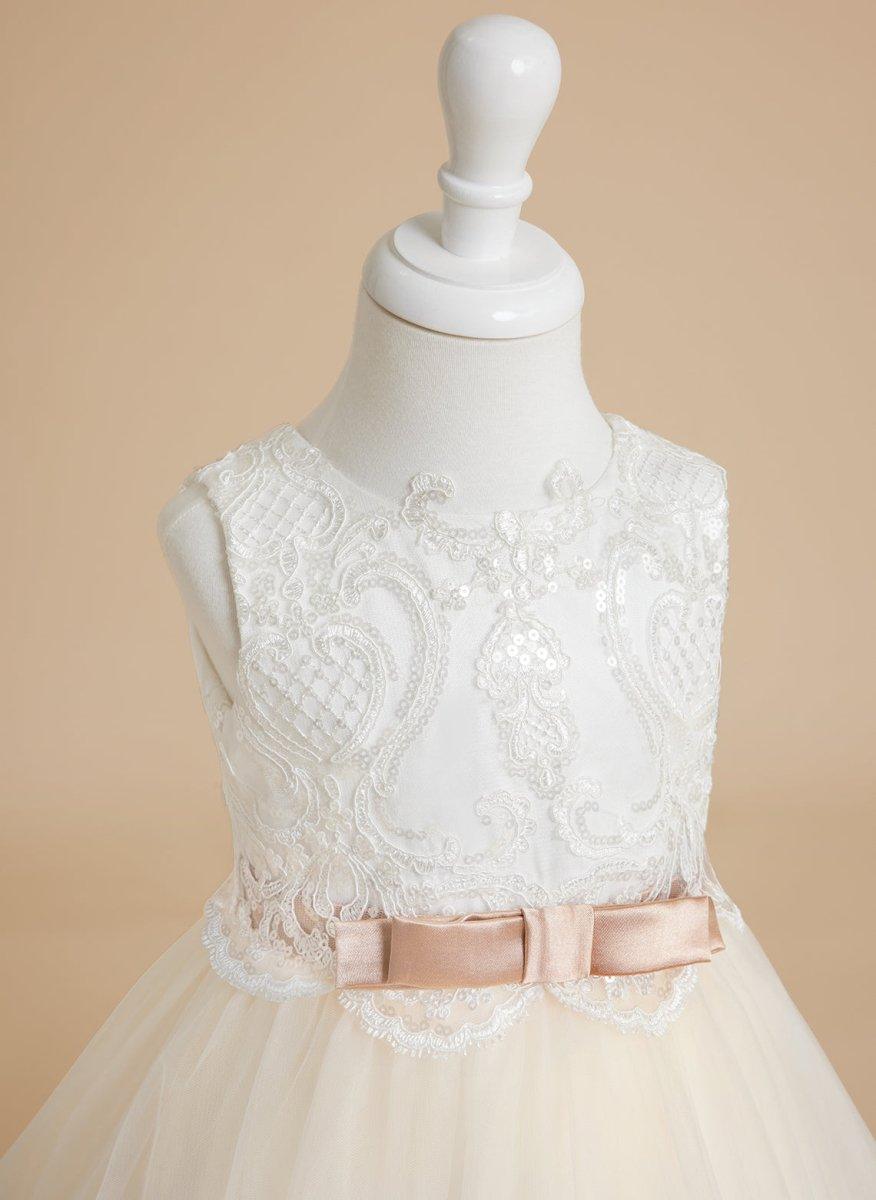 Ivory Tulle Ball Gown Flower Girl Dress Lace Applique Sweep Train - photo 6