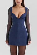 Deep V Neck Mesh Patchwork Long Sleeve A-Line Mini Dresses-Blue Pre Order