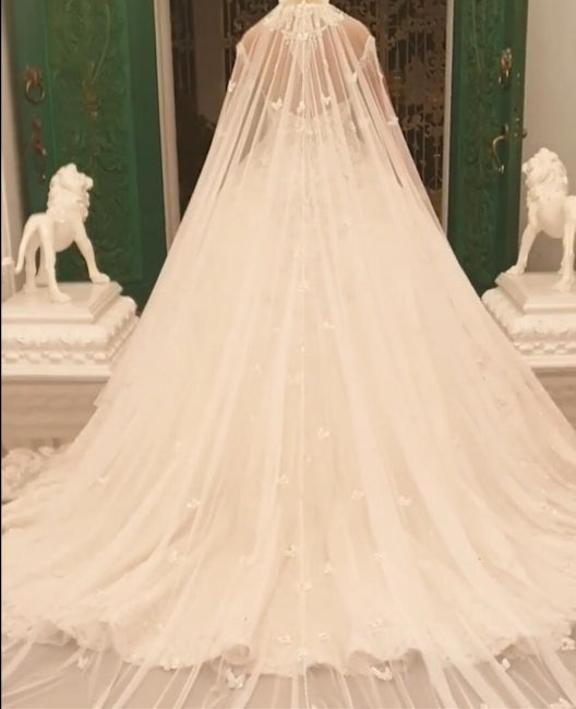 Magnifiques robes de mariée princesse en ligne A avec dentelle et bijoux, manches longues