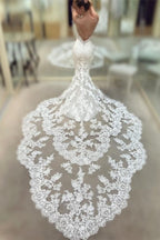 Spaghetti Straps Mermaid Backless V Neck Long Lace Wedding Dress