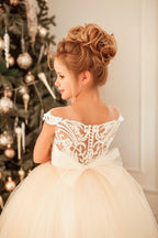 Ball Gown Flower Girl Dress With Jewel Neckline And Appliques