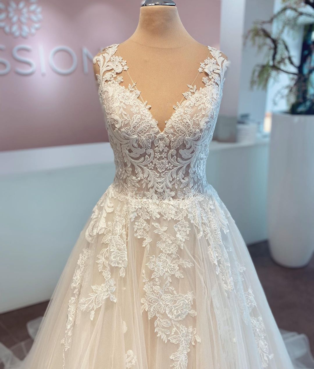 Elegant Long A-line V-neck Tulle Lace Wedding Dress