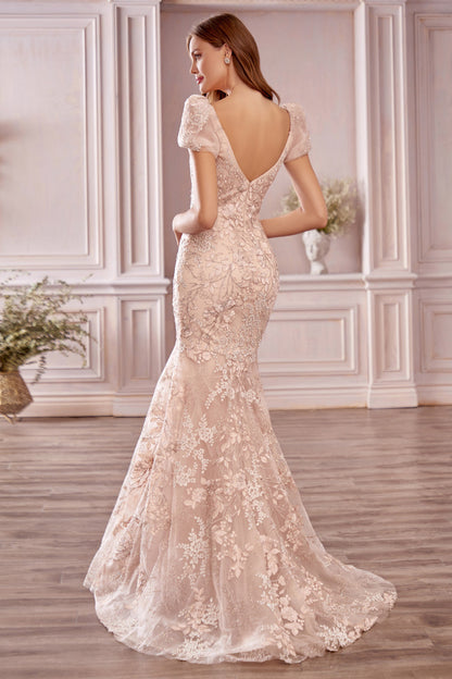 Elegantes langes Meerjungfrau-Ballkleid mit Herzausschnitt und rückenfreiem Spitzen-Abschlussballkleid mit Ärmeln