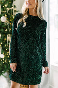 City Lights Sequin Velvet Long Sleeve Shift Mini Dress