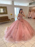 Dolci 16 Abiti Rosa per Quinceañera con Applicazioni di Pizzo, Abito da Ballo con Spalle Scoperte Y469