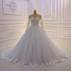 فستان زفاف طويل رائع بقصة على شكل حرف A وياقة باهتة مزين بتطريزات من اللؤلؤ والدانتيل مع أكمام