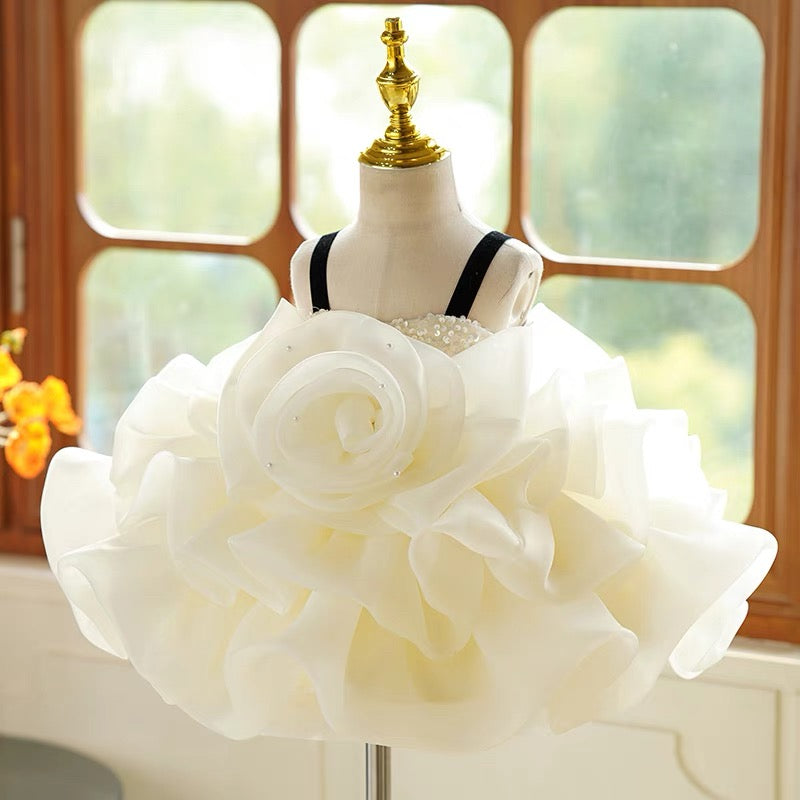 Robe de fête d'anniversaire pour bébé fille en organza à fleurs 3D jusqu'aux genoux 