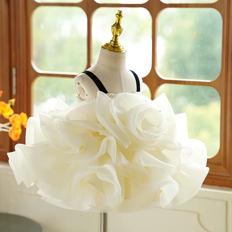 Robe de fête d'anniversaire pour bébé fille en organza à fleurs 3D jusqu'aux genoux 
