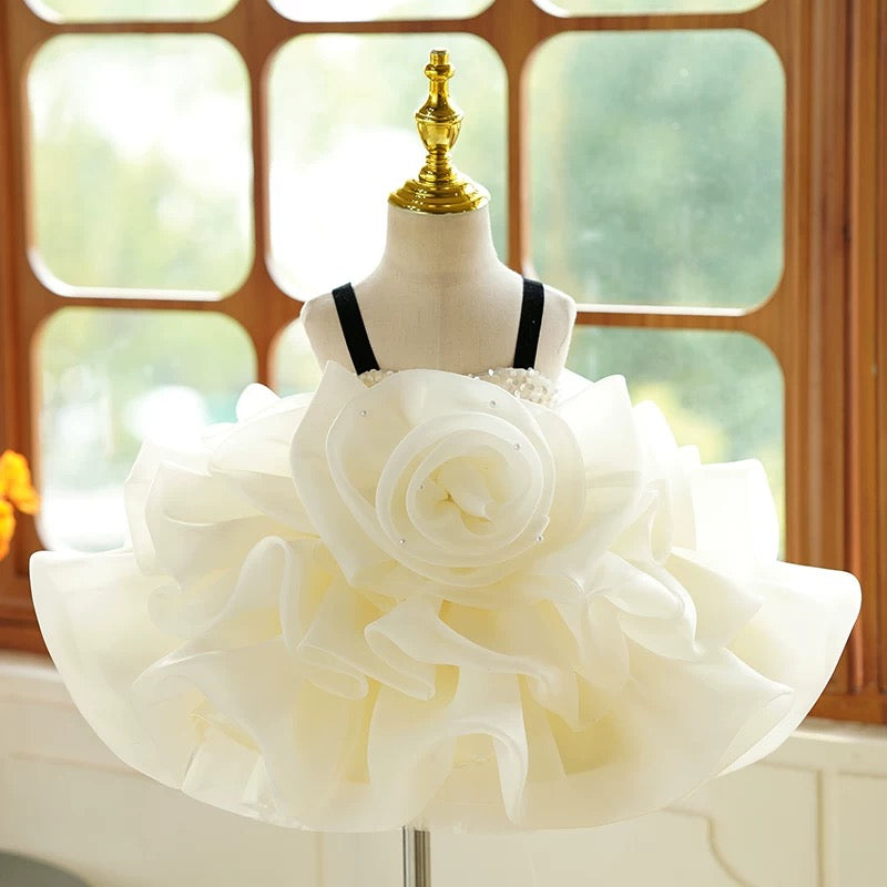 Robe de fête d'anniversaire pour bébé fille en organza à fleurs 3D jusqu'aux genoux 