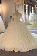 Tulle Long Sleeve Ball Gown Wedding Dress With Lace Appliques