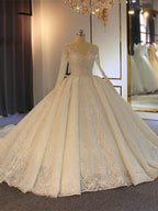 Delicate Lace Long Sleeve Wedding Dress Ball Gown With V Neck Tulle