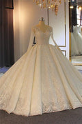 Delicate Lace Long Sleeve Wedding Dress Ball Gown With V Neck Tulle