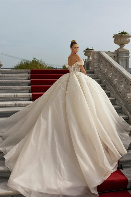 Luxury Princess Long A-line Off-the-shoulder Lace Wedding Dresses