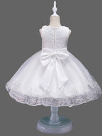 Princess Lace Sleeveless Flower Girl Dress With Jewel Neck For Wedding Birthday