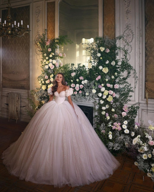 Robes de mariée de luxe princesse pailletées avec dentelle 
